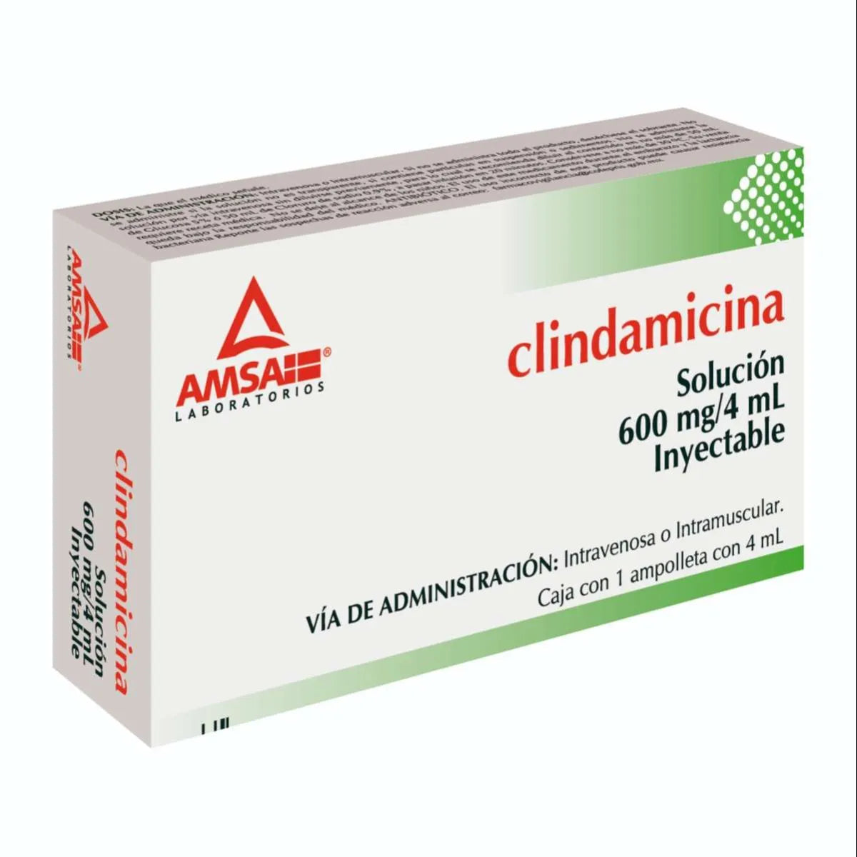 CLINDAMYCIN INJECTABLE SOLUTION 600MG/4ML 1 AMPOULE
