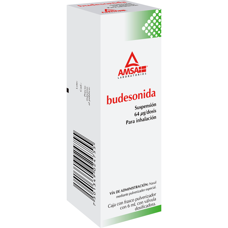BUDESONIDE 120 DOSES FOR INHALATION