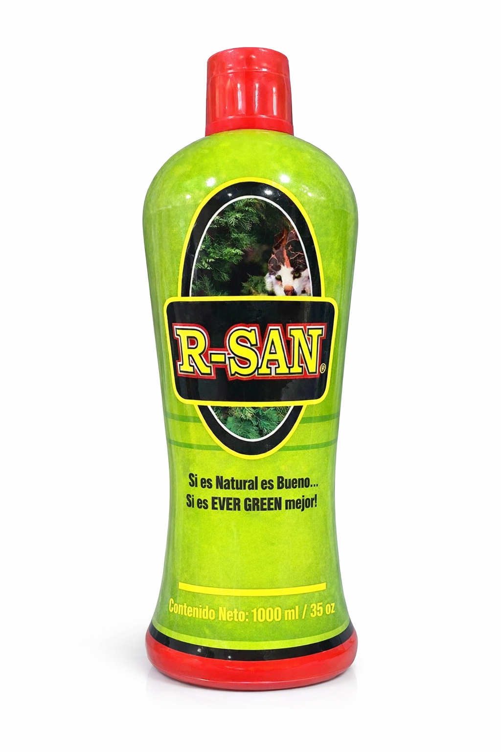 R-SAN 1000 ML