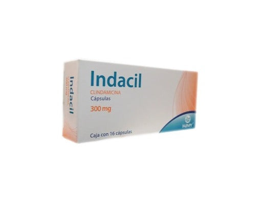 INDACIL (CLINDAMYCIN) 300 MG 16 CAPSULES